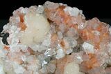 Apophyllite Crystals after Chabazite with Stilbite - India #176824-3